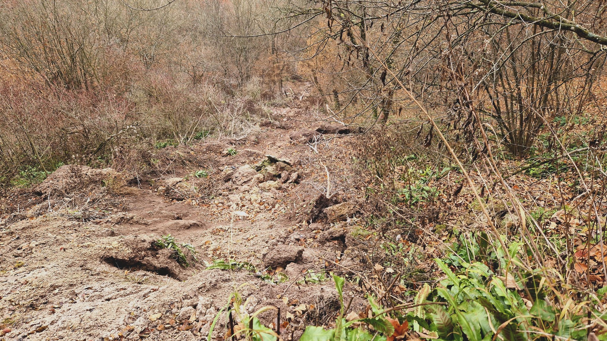 Новини Тернополя - фото з На Тернопільщині обвалилась величезна скеля з водоспадом: який вигляд тепер мають «Дівочі сльози » На зображенні може бути: трава