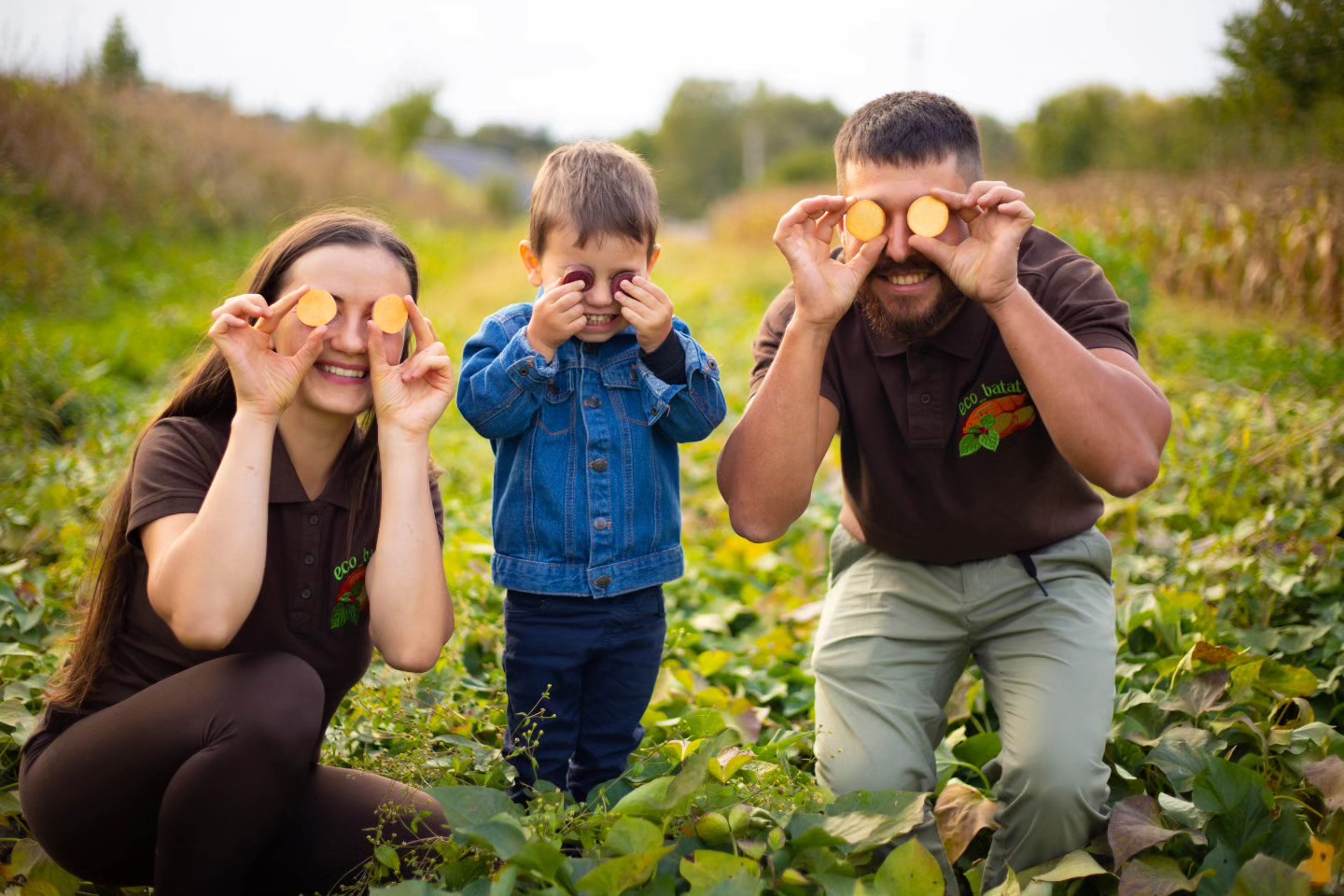 Новини Тернополя - фото з Ферма кольорового батату на Тернопільщині: сім'я з Товстого вирощує екзотику на власному городі Немає опису світлини.