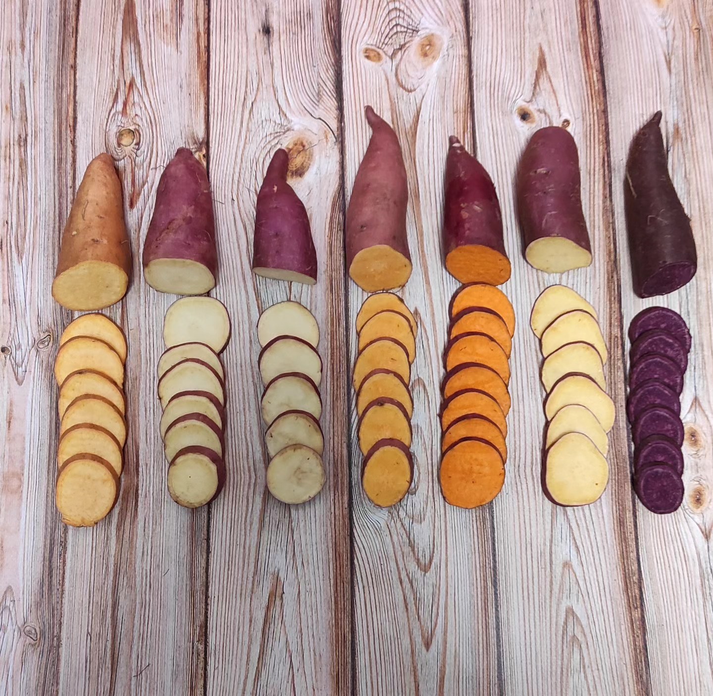 Новини Тернополя - фото з Ферма кольорового батату на Тернопільщині: сім'я з Товстого вирощує екзотику на власному городі Немає опису світлини.