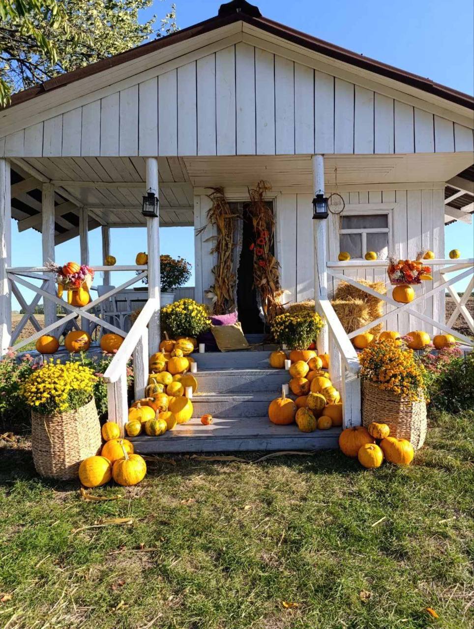 Новини Вінниці - фото з За кошти, зароблені у Лондоні, викупила в селі будиночки для реабілітації військових