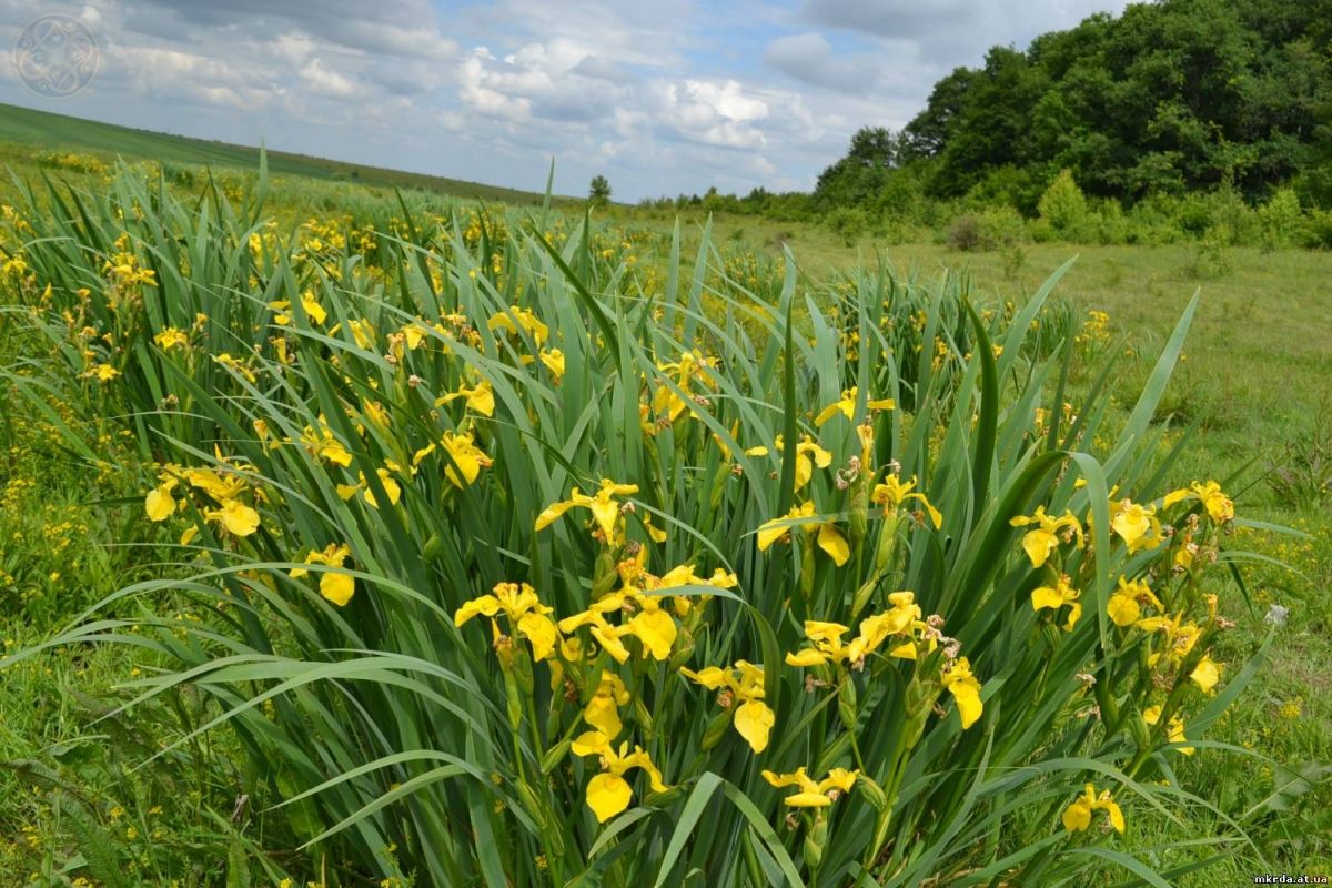 Новини Вінниці - фото з Що подивитися у Могилів-Подільському районі: зібрали ТОП-5 локацій