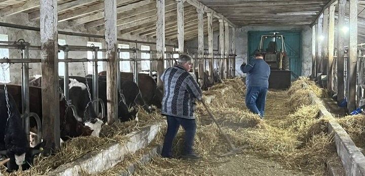 Новини Вінниці - фото з «У нашому сиру не буде пальмової олії»: сімейна ферма «Господар» готує нову продукцію