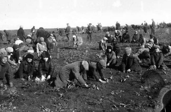 Новини Вінниці - фото з Сьогодні в Україні День пам’яті жертв Голодомору. Історія, прикмети та заборони 23 листопада