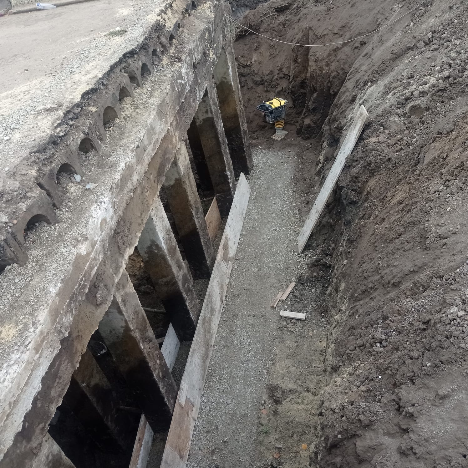 Немає опису світлини.