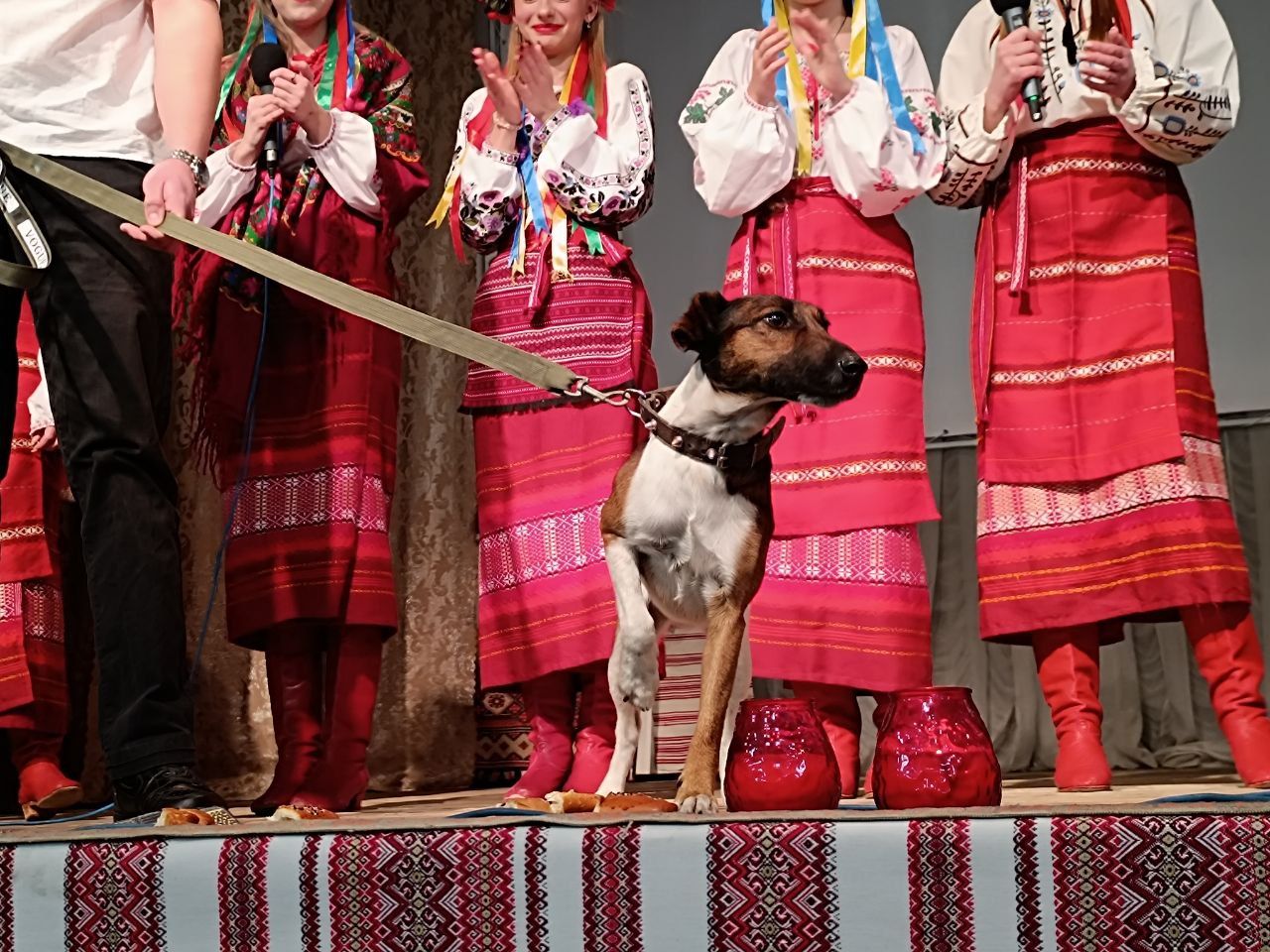 Новини Вінниці - фото з «Відчуття, що стаємо однією родиною»: у вінницькому техколеджі провели Андріївські вечорниці