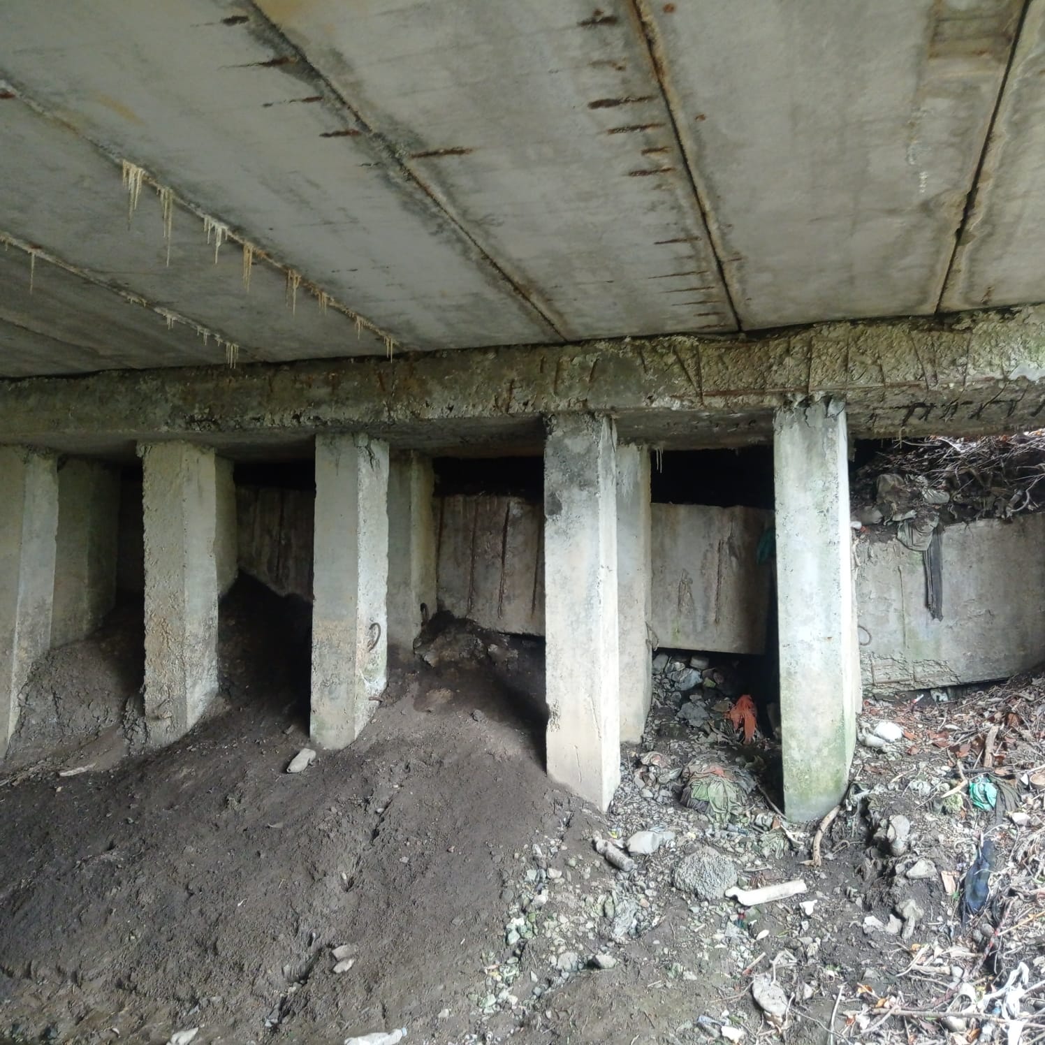 Немає опису світлини.