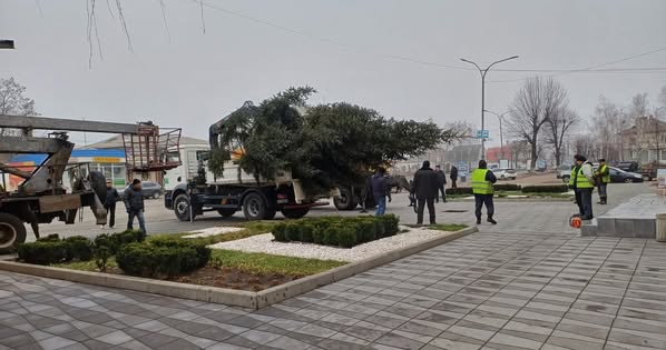 Новини Житомира - фото з У Малині встановили новорічну ялинку