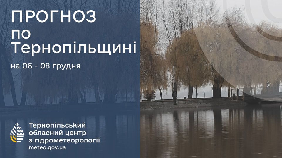 На зображенні може бути: текст