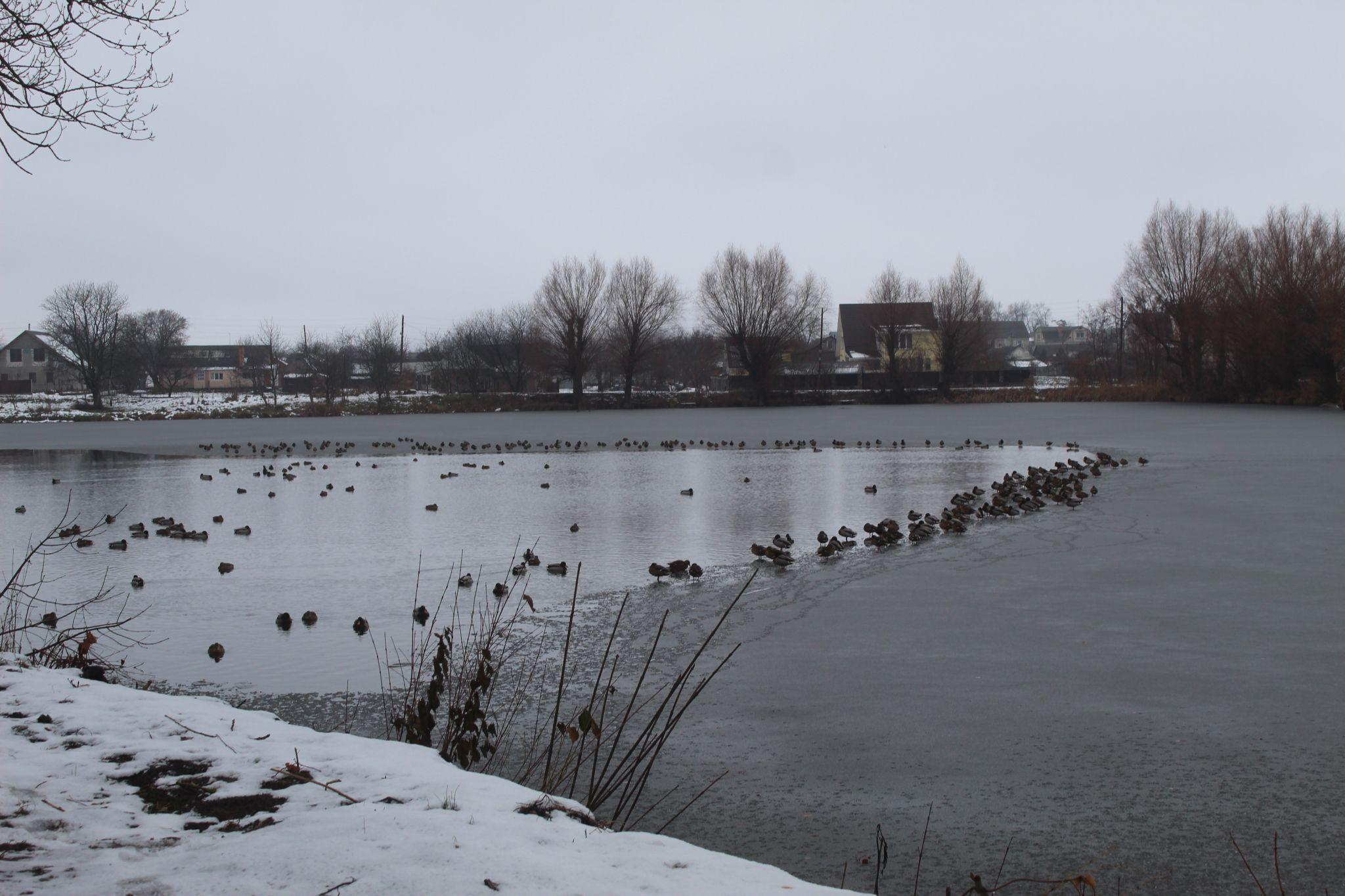 Новини Козятина - фото з Ще толком не було льоду, а на водокачці чоловік вже провалився у воду