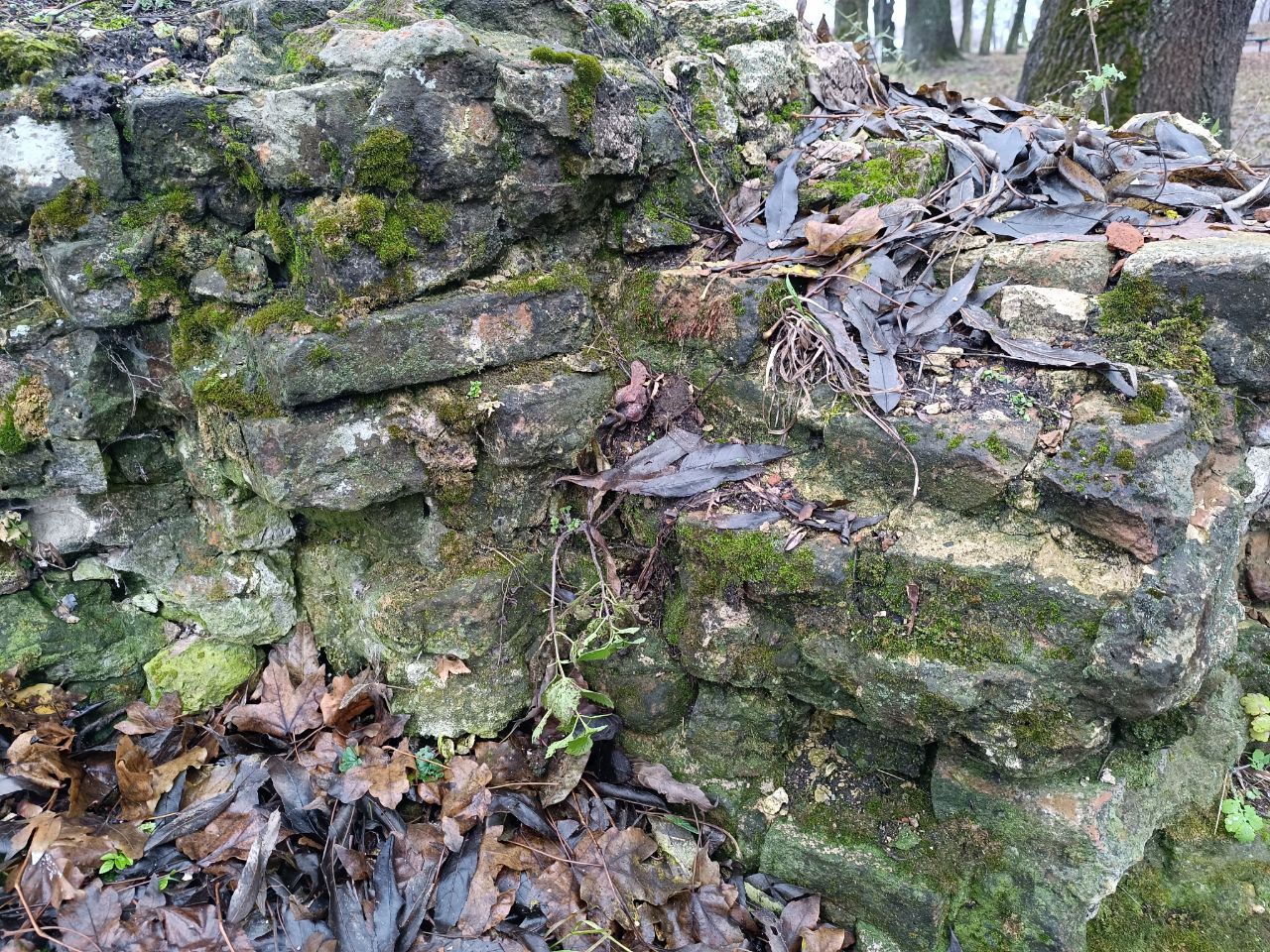 Новини Вінниці - фото з В ньому жила сама королева: історія багатовікового Барського замку