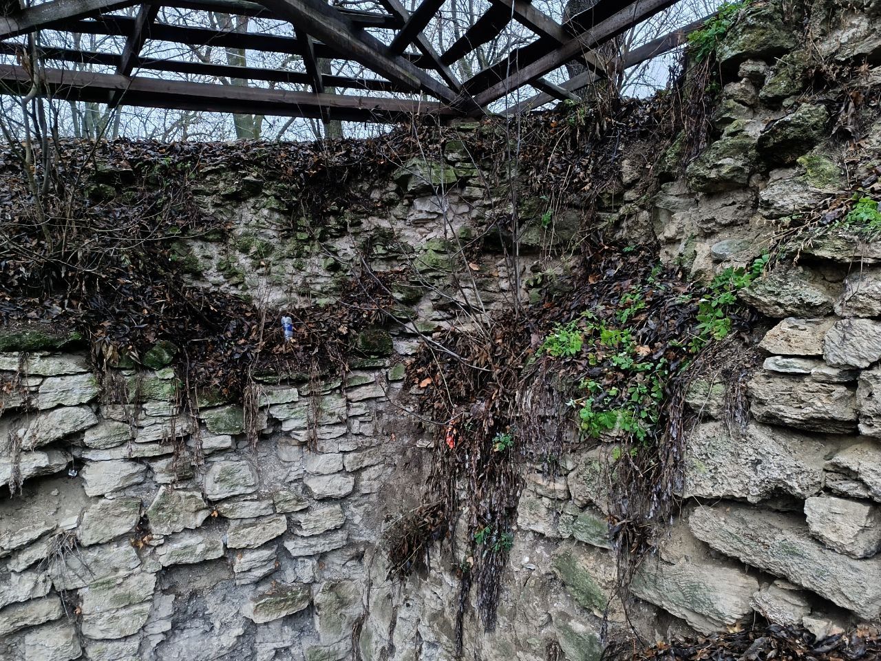 Новини Вінниці - фото з В ньому жила сама королева: історія багатовікового Барського замку