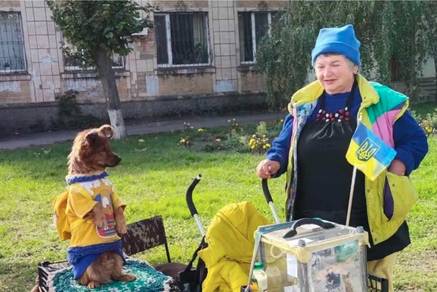 Новини Вінниці - фото з Добрі справи та ініціативи вінничан, які вони втілили в життя впродовж 2024 року