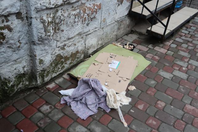 Новини Тернополя - фото з Роблять будиночки та залишають їжу з водою: як тернополяни піклуються про безпритульних тварин взимку