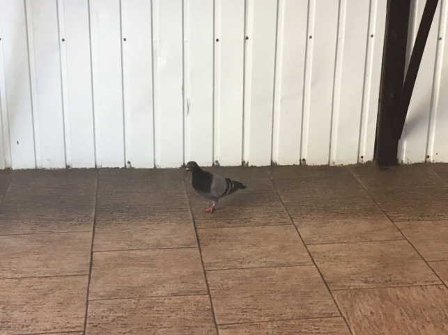 Новини Тернополя - фото з Заходили перед поїздкою на потязі: історія закусочної «Темп» на привокзальному майдані Тернополя