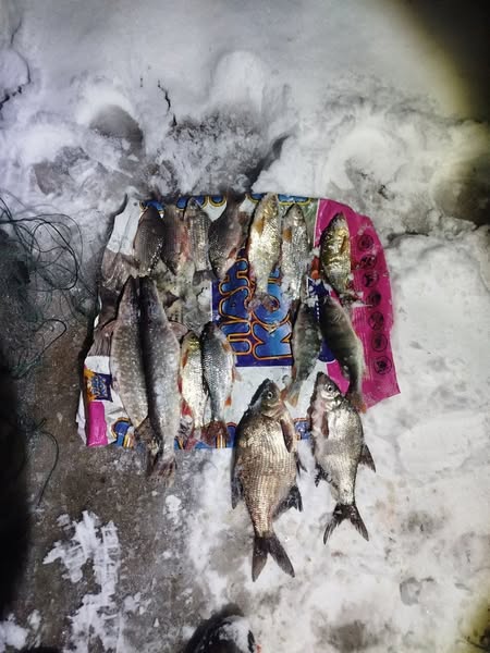 Новини Житомира - фото з На річці Тетерів виявлено порушення зі збитками на понад 30 тисяч гривень