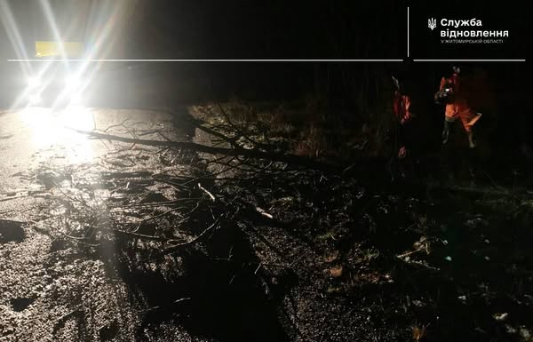 Новини Житомира - фото з Через шквальний вітер на дороги Житомирщини падали дерева та гілки