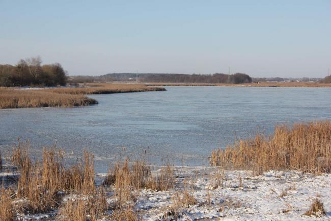 Новини Вінниці - фото з На Вінниччині провели санітарний відстріл хижаків. Вполювали понад пів сотні лисиць