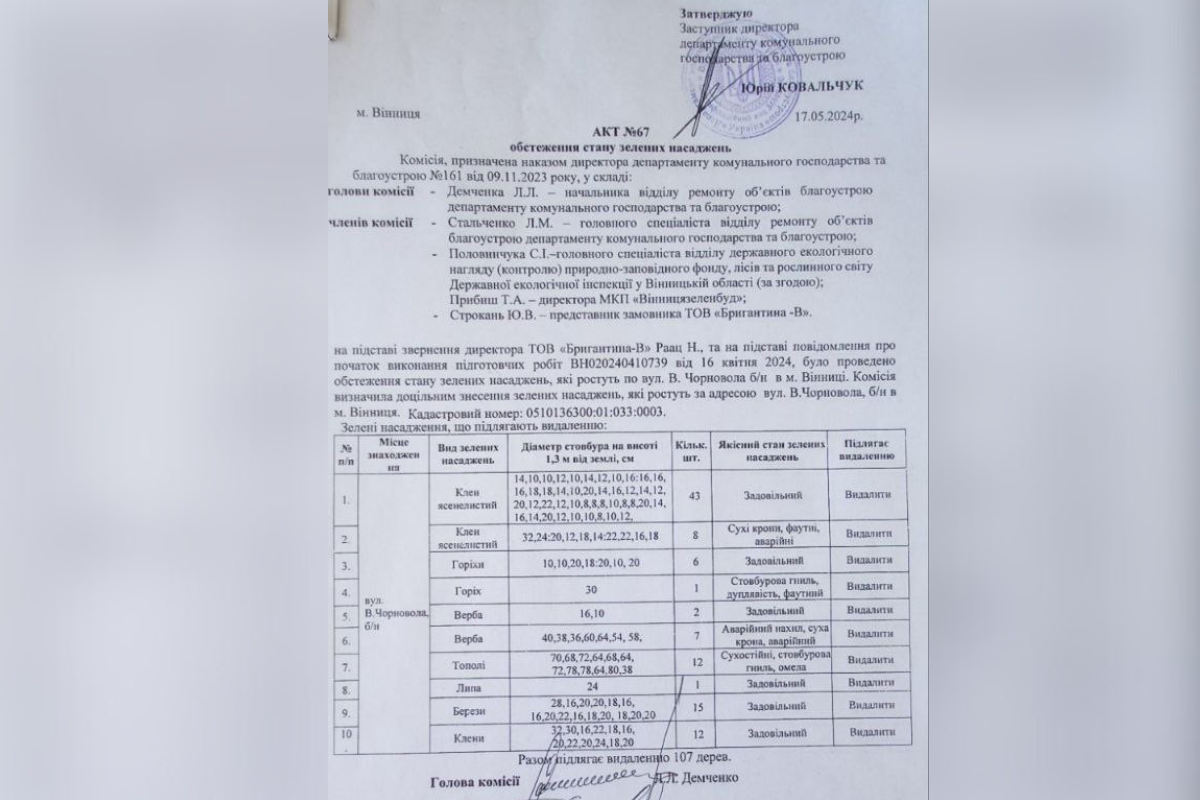 Новини Вінниці - фото з Для чого на Бригантині ріжуть дерева? Ми дізналися