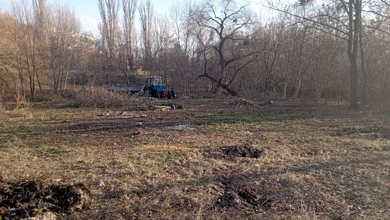 Новини Вінниці - фото з Для чого на Бригантині ріжуть дерева? Ми дізналися