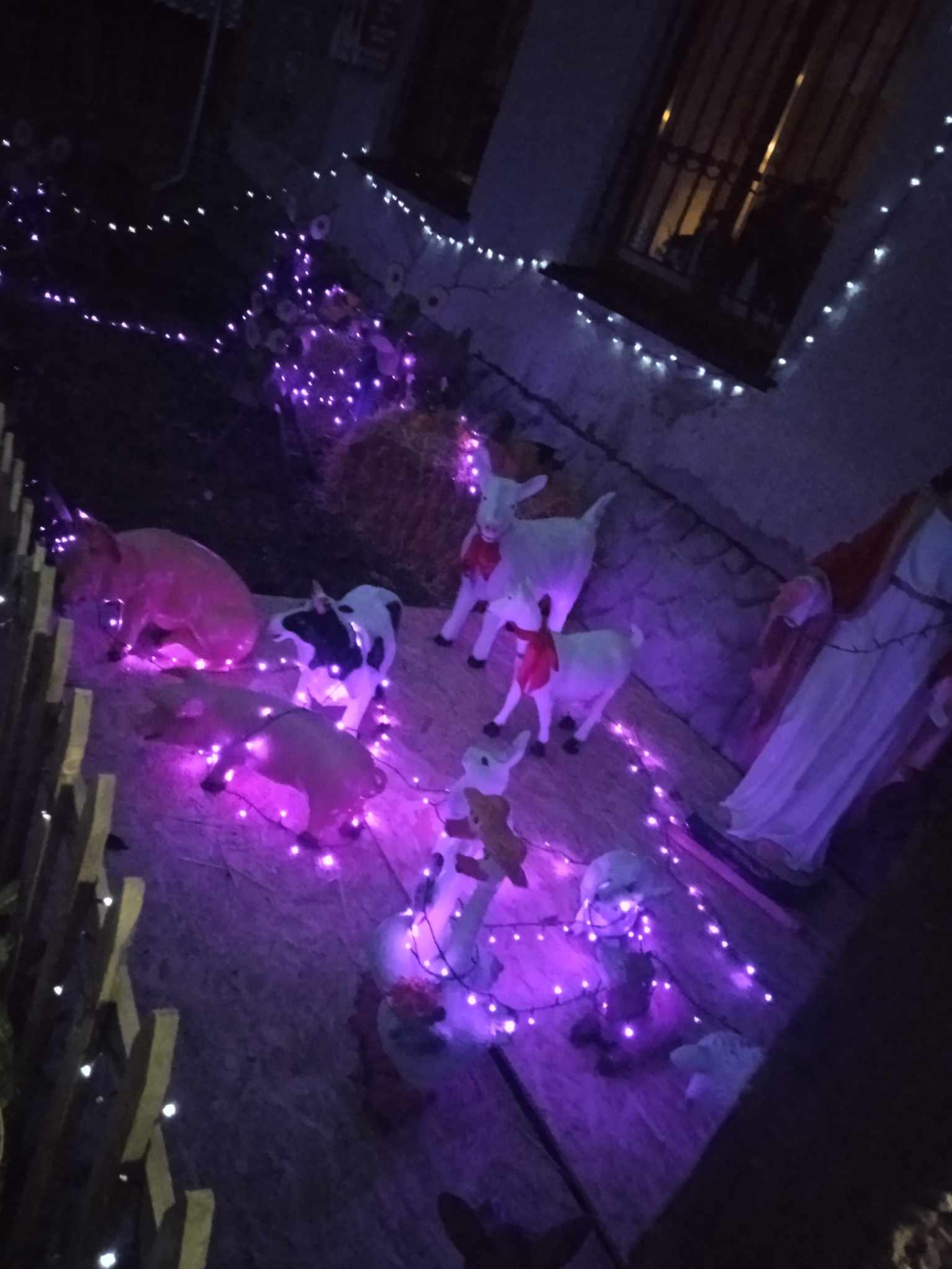 Новини Козятина - фото з Вертеп на подвір’ї, святкові вітрини, дідух у вогнях. Фоторепортаж