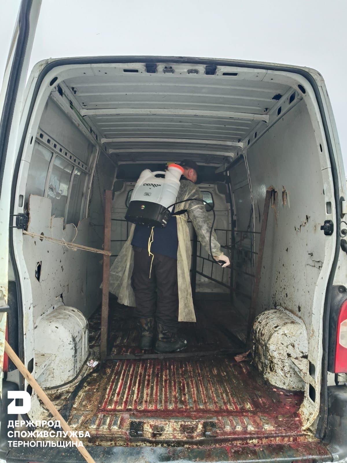 Новини Тернополя - фото з У Вишнівці зупинили авто, в якому був труп корови. Увага, чутливий контент На зображенні може бути: 1 особа, фургон та водонагрівач