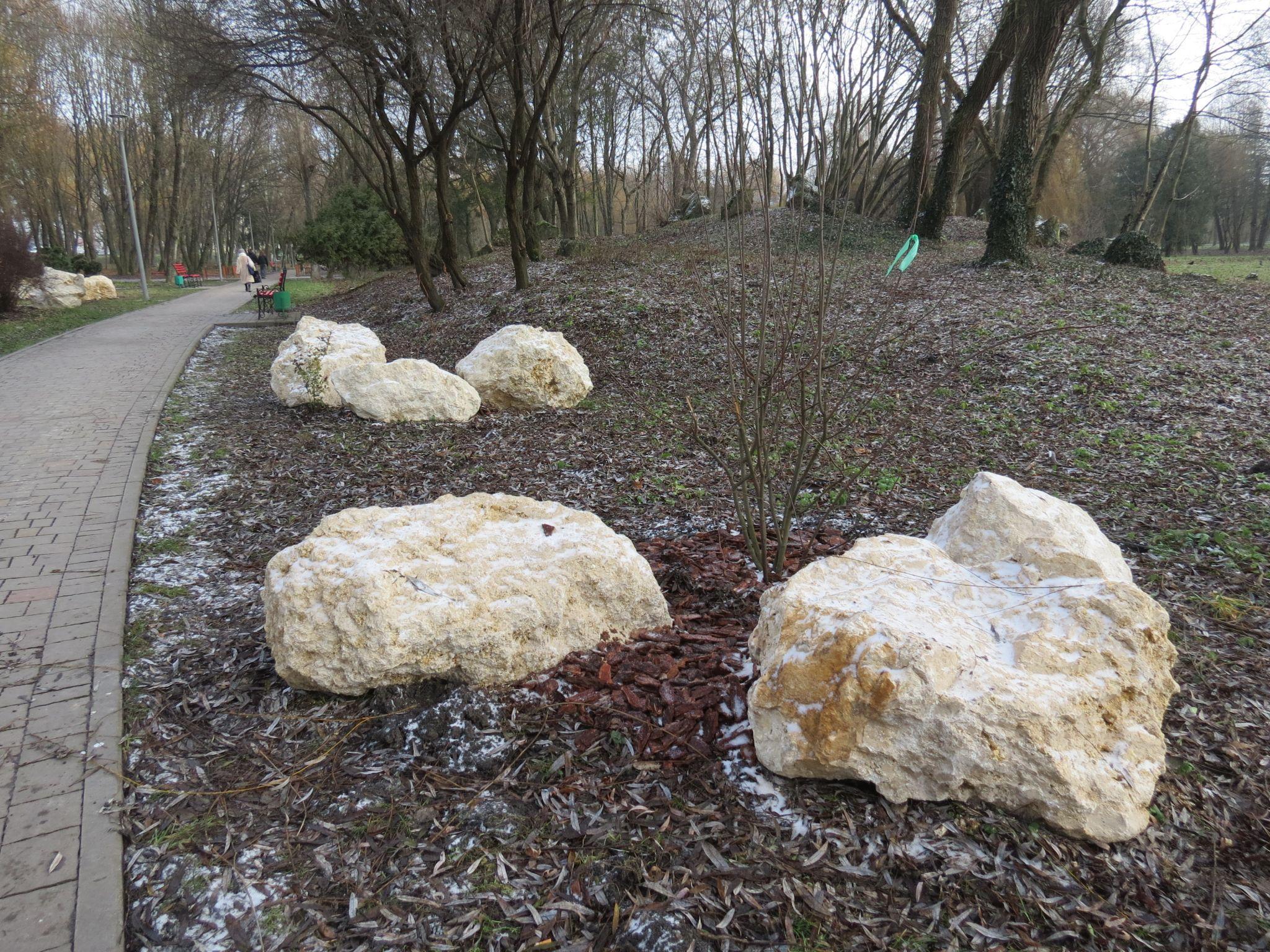 Новини Тернополя - фото з У Сопільче облаштовують терапевтичний японський сад: будуть екзотичні дерева і риби