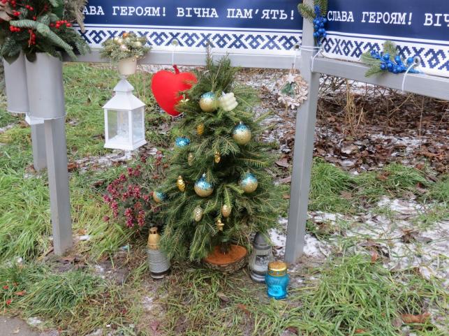 Новини Тернополя - фото з Рідні приносять ялинки та гірлянди до фотографій загиблих воїнів: який вигляд має Алея пам’яті