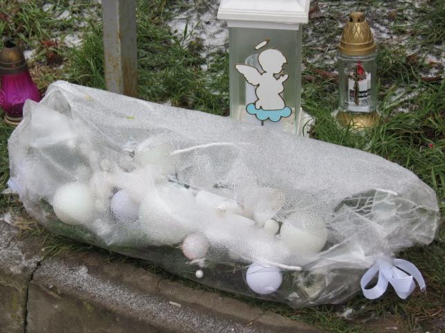 Новини Тернополя - фото з Рідні приносять ялинки та гірлянди до фотографій загиблих воїнів: який вигляд має Алея пам’яті