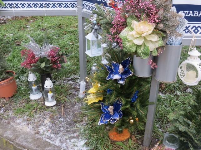 Новини Тернополя - фото з Рідні приносять ялинки та гірлянди до фотографій загиблих воїнів: який вигляд має Алея пам’яті