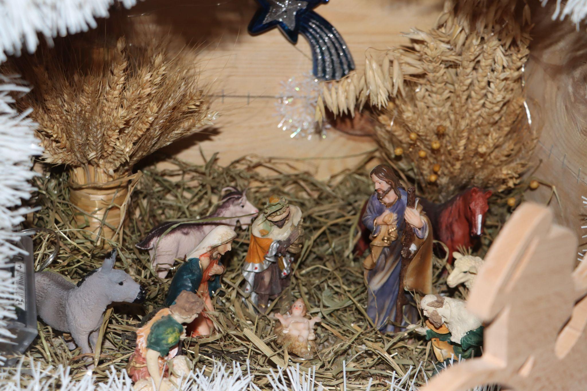 Новини Тернополя - фото з Шопки, прикраси та різдвяна атрибутика: в Українському домі діє виставка дитячих робіт