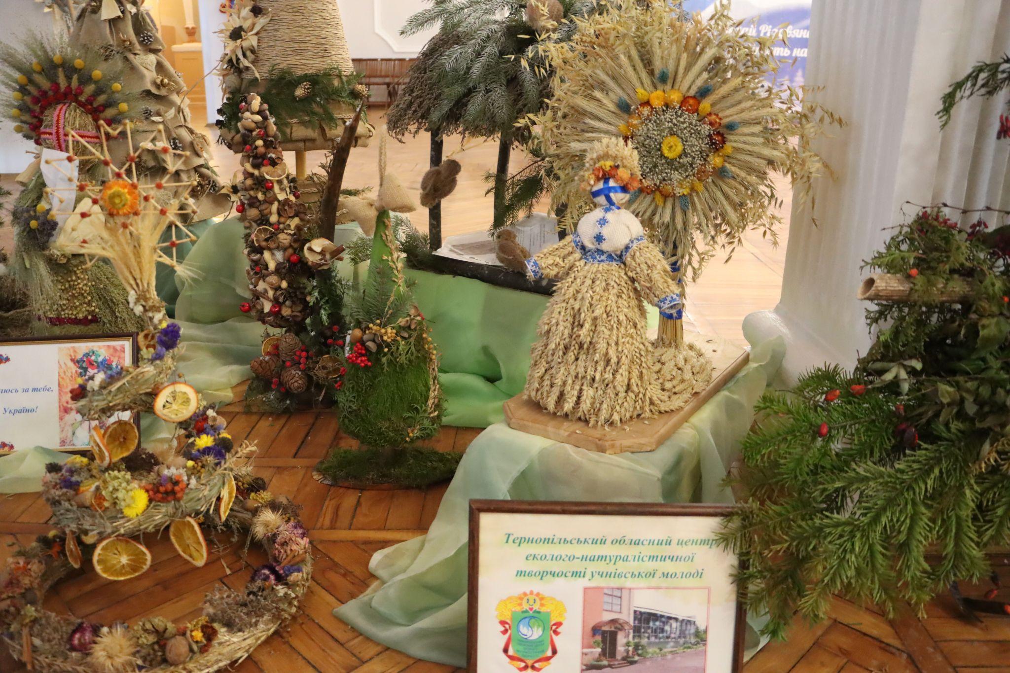 Новини Тернополя - фото з Шопки, прикраси та різдвяна атрибутика: в Українському домі діє виставка дитячих робіт