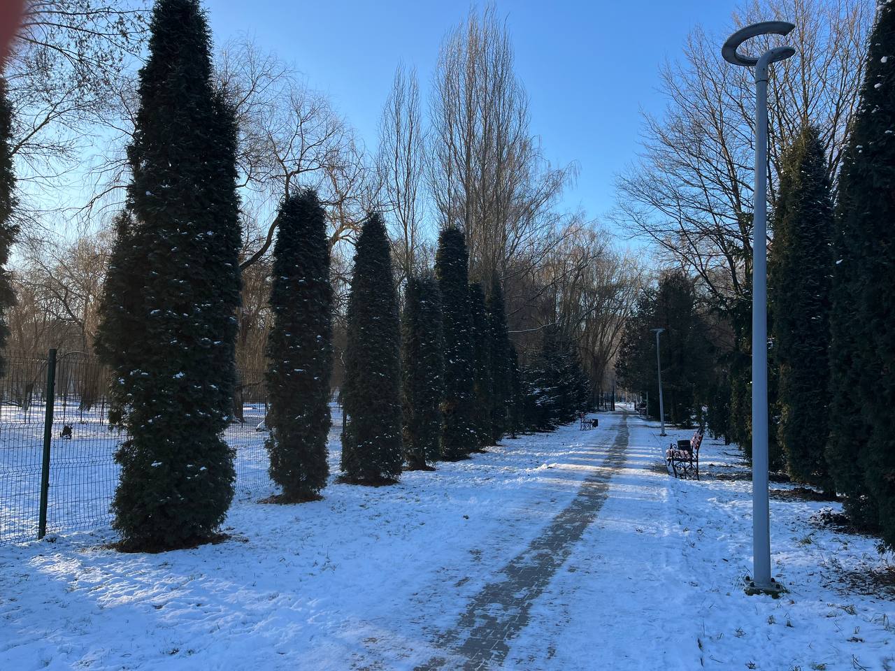 Новини Тернополя - фото з Зимовий Тернопіль: який вигляд має місто в обіймах холодної казки