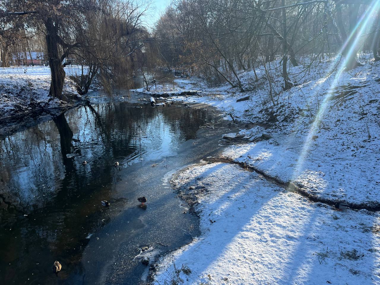 Новини Тернополя - фото з Зимовий Тернопіль: який вигляд має місто в обіймах холодної казки