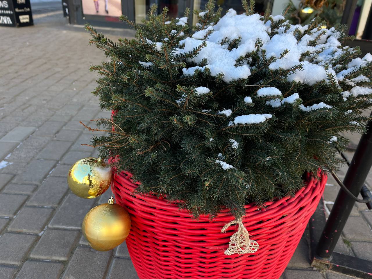 Новини Тернополя - фото з Зимовий Тернопіль: який вигляд має місто в обіймах холодної казки