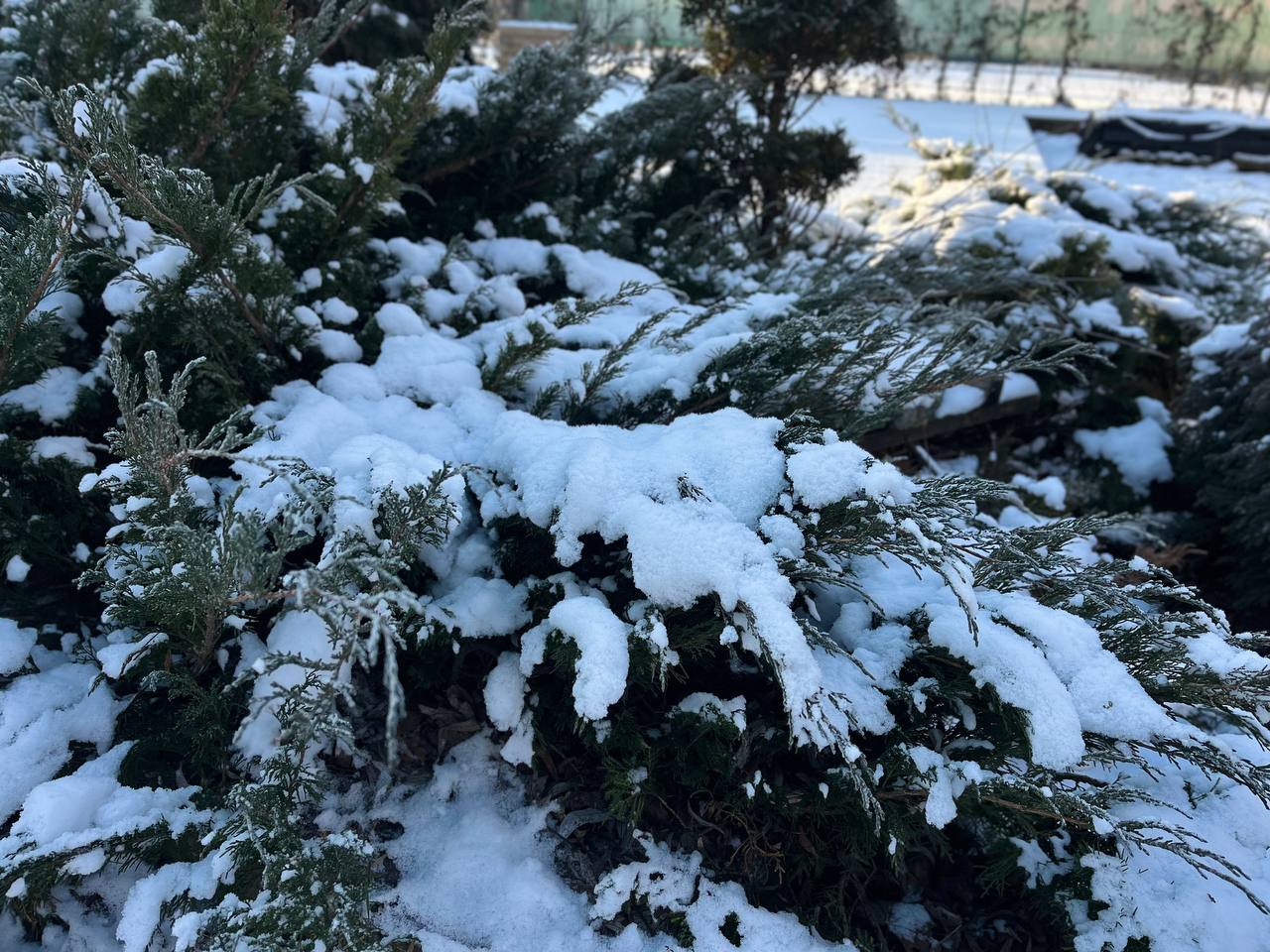 Новини Тернополя - фото з Зимовий Тернопіль: який вигляд має місто в обіймах холодної казки