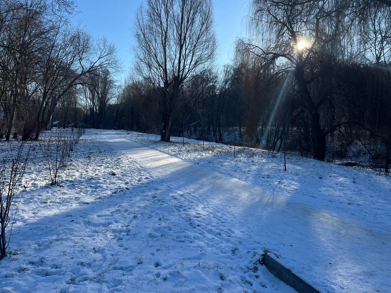 Новини Тернополя - фото з Зимовий Тернопіль: який вигляд має місто в обіймах холодної казки