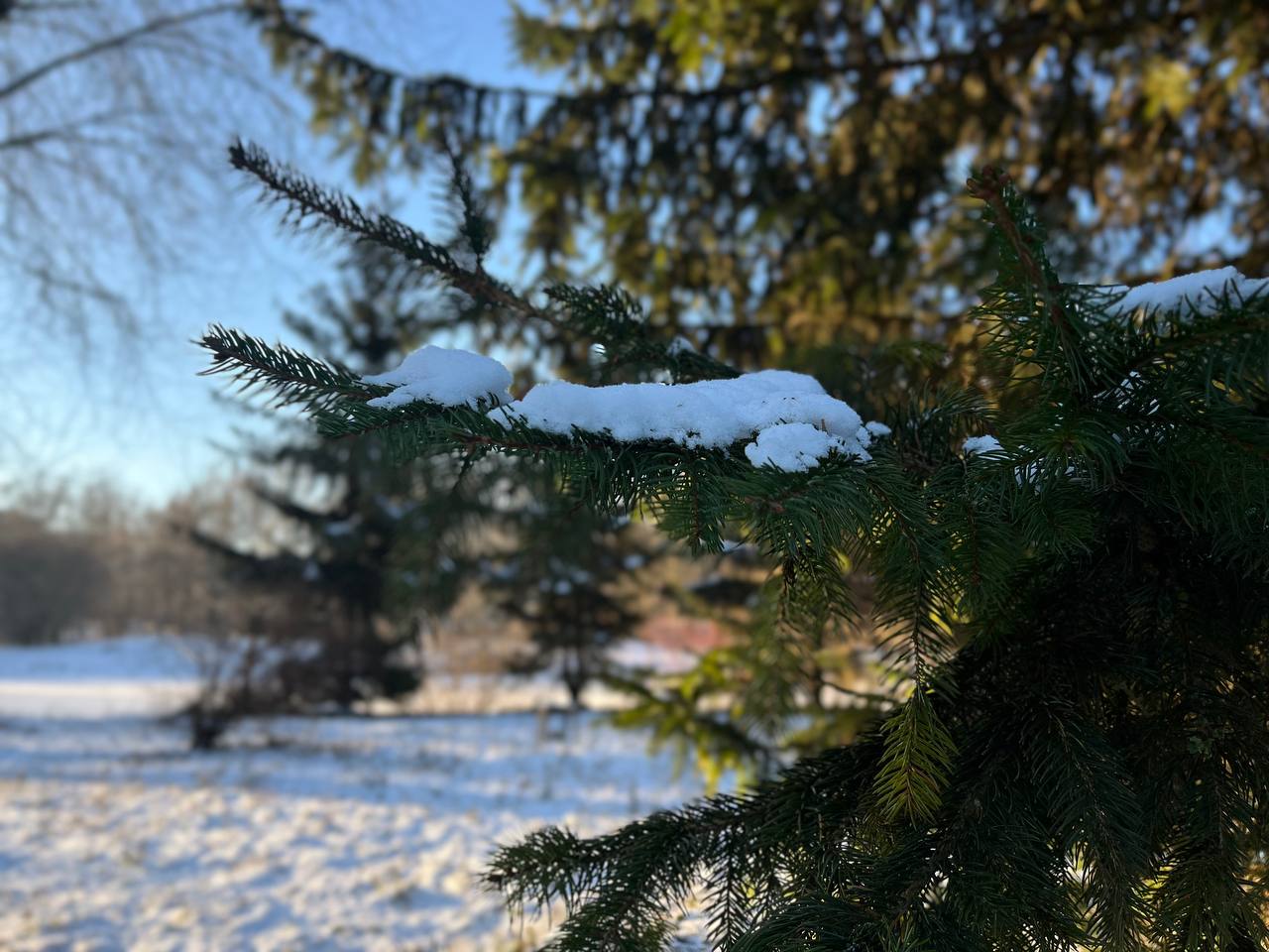 Новини Тернополя - фото з Зимовий Тернопіль: який вигляд має місто в обіймах холодної казки