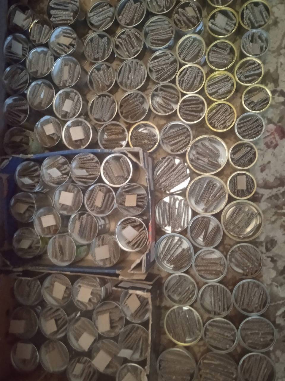 Новини Тернополя - фото з Від окопних свічок до консервації: родина на Теребовлянщині об'єднує людей для допомоги ЗСУ