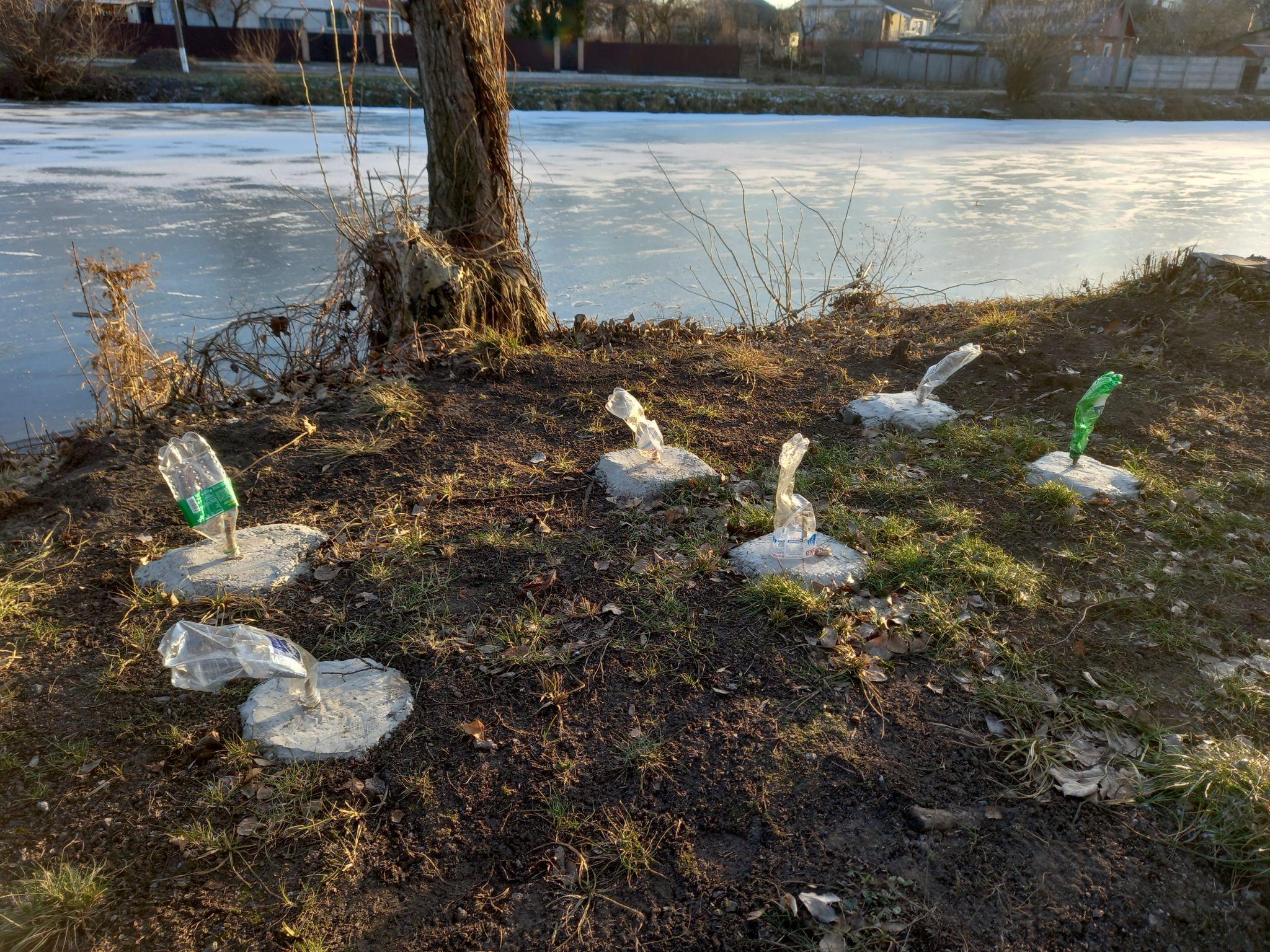 Новини Козятина - фото з Стадіон у переддень Водохреща: нові дерева, зимова риболовля та зграя качок