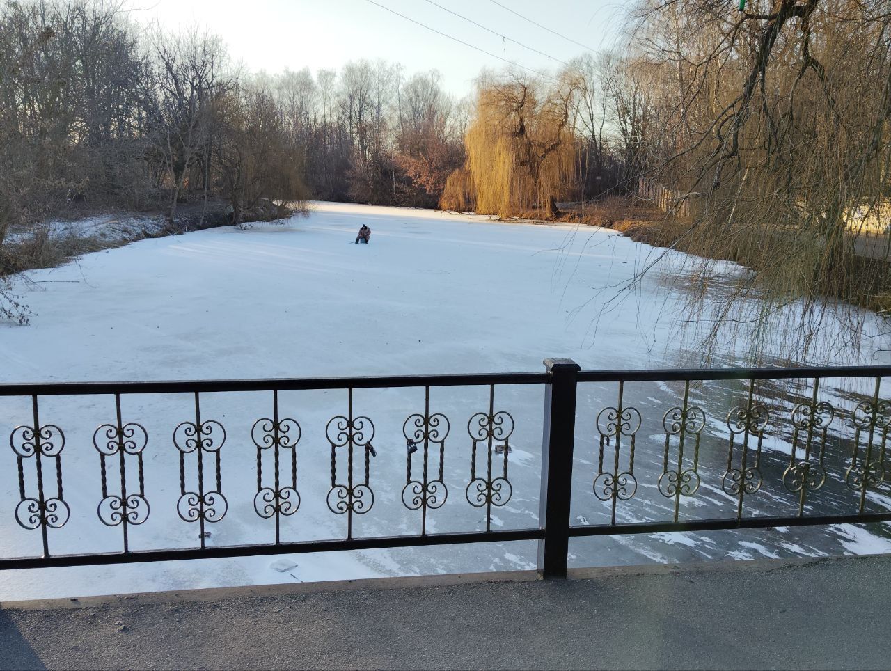 Новини Козятина - фото з Стадіон у переддень Водохреща: нові дерева, зимова риболовля та зграя качок