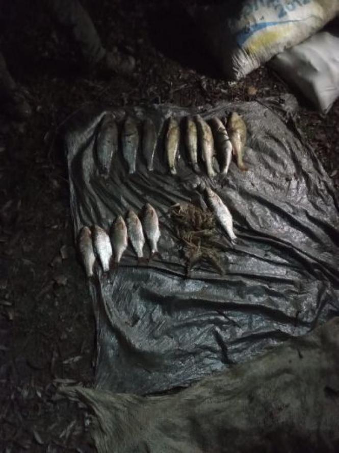 Новини Хмельницького - фото з На Хмельниччині спіймали чоловіків, які незаконно наловили риби на понад 300 тисяч