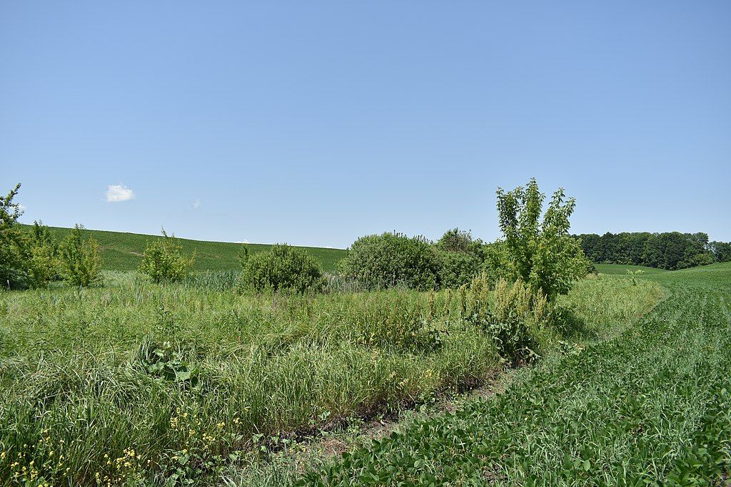 Новини Козятина - фото з Унікальні куточки природи нашої Козятинщини