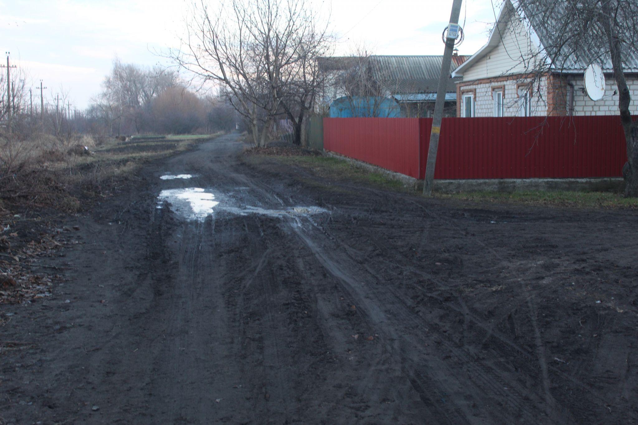 Новини Козятина - фото з Про скарги на освітлення, колядників, трохи про дороги та Водохрещу