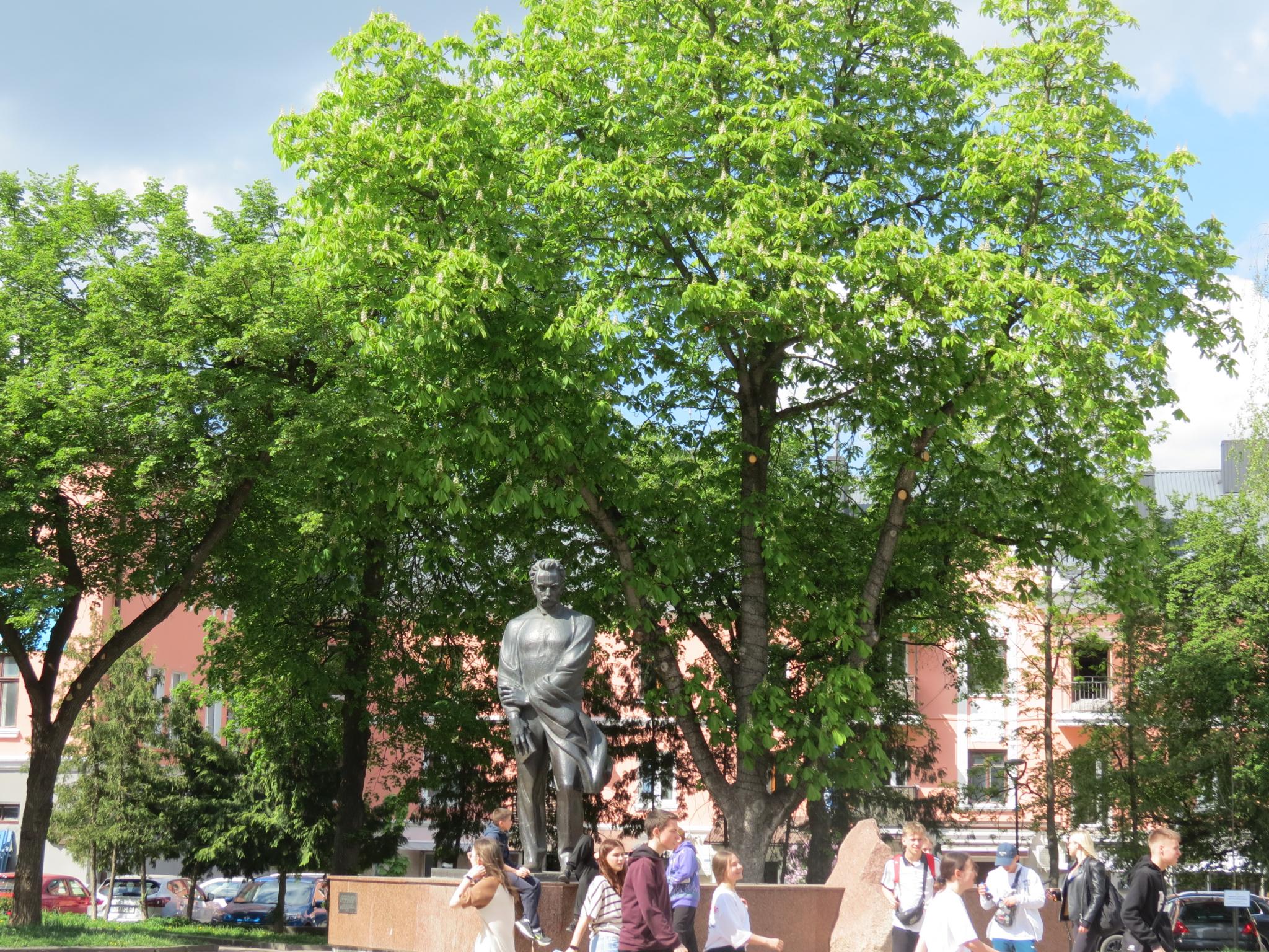 Новини Тернополя - фото з У центрі міста зацвіли каштани: дивіться фото!