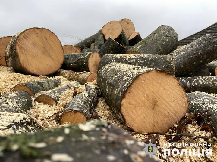 Новини Хмельницького - фото з Афера на грошовій допомозі та дровах: як шахраї ошукали мешканців Хмельниччини