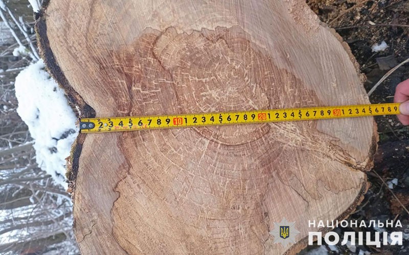 Новини Тернополя - фото з Штраф або три роки в'язниці за дрова: три випадки незаконної порубки зафіксували на Тернопільщині співробітники водної поліції припинили три факти незаконної порубки дерев