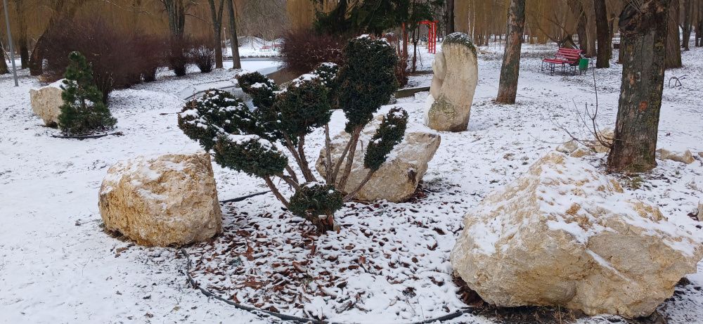 Новини Тернополя - фото з У парку Сопільче облаштовують терапевтичний сад у японському стилі