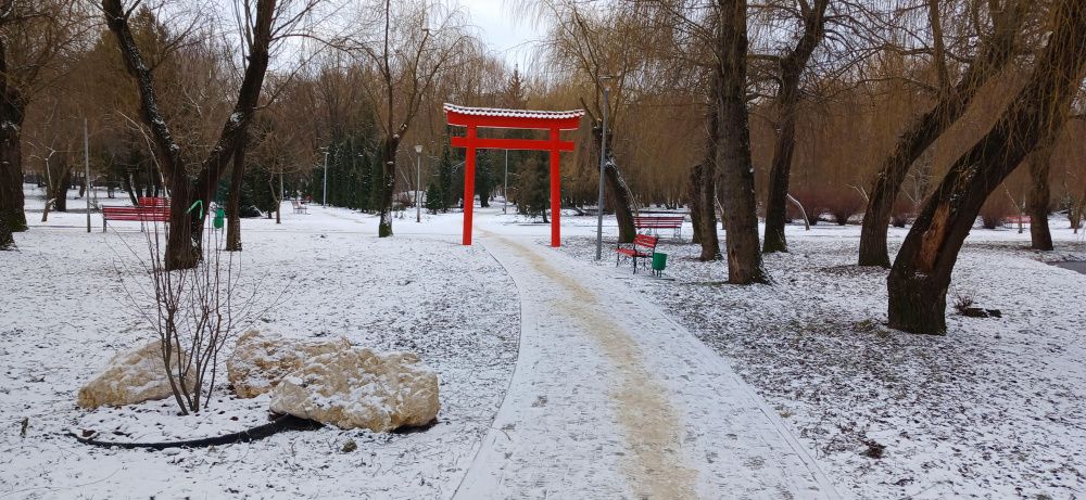 Новини Тернополя - фото з У парку Сопільче облаштовують терапевтичний сад у японському стилі