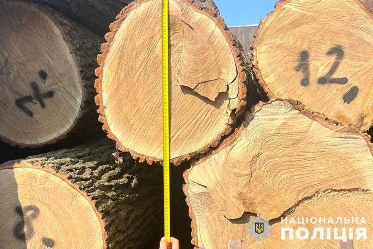 Новини Тернополя - фото з Збитків майже на мільйон: групу осіб з Тернопільщини підозрюють у незаконному бізнесі на деревині
