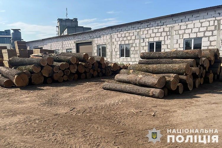 Новини Тернополя - фото з Збитків майже на мільйон: групу осіб з Тернопільщини підозрюють у незаконному бізнесі на деревині